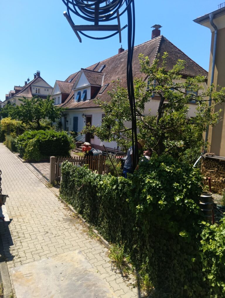 Eine sonnige Wohnstraße mit efeubewachsenen Zäunen, Bäumen und Häusern mit Satteldächern. Im Vordergrund hängt auffällig ein aufgerolltes schwarzes Kabel.