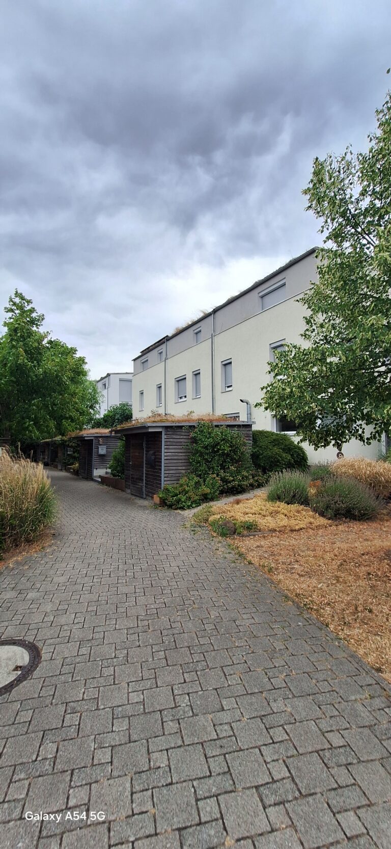 Ein gepflasterter Weg führt unter einem bewölkten Himmel an Büschen und Bäumen vorbei zu modernen weißen Gebäuden mit Holzkonstruktionen. Das Gras neben dem Weg ist trocken und braun.